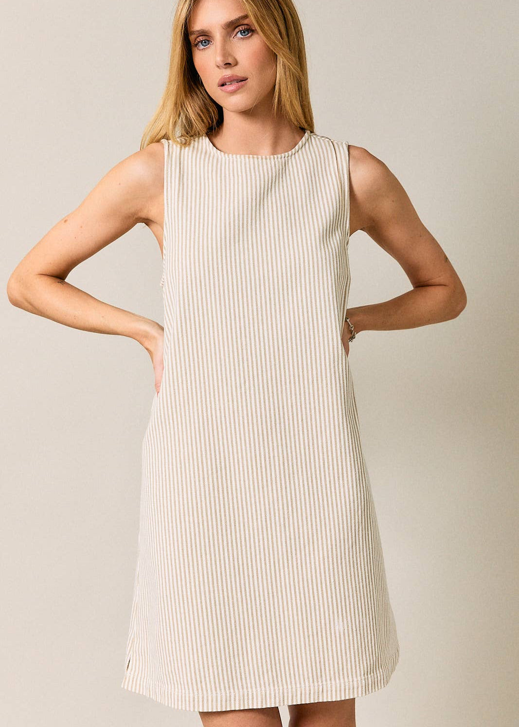 Summer Breeze Sleeveless Striped Taupe Denim Dress with Buttons Large